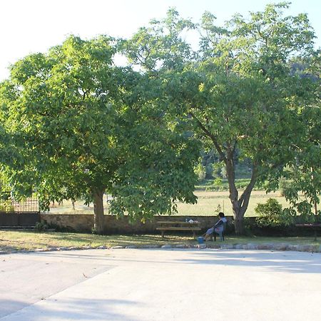 Can Carreras Albanya ภายนอก รูปภาพ