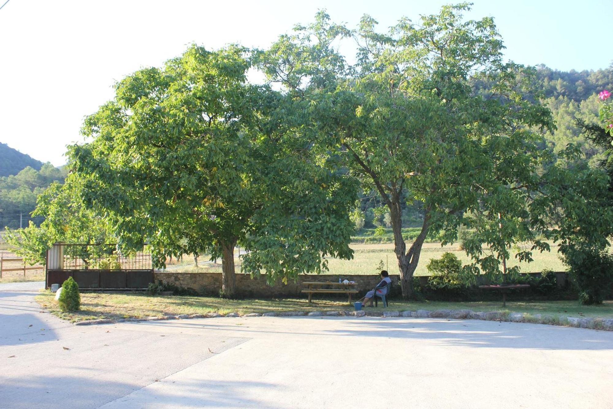 Can Carreras Albanya ภายนอก รูปภาพ