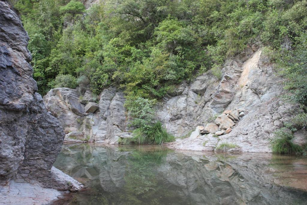 Can Carreras Albanya ภายนอก รูปภาพ